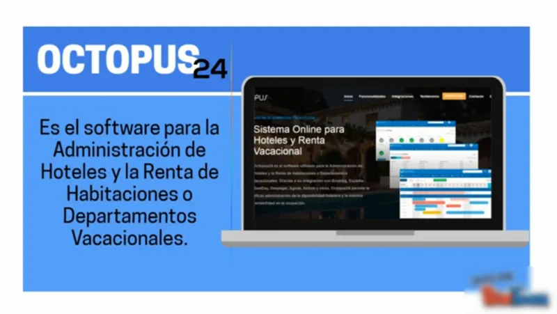 Octopus24
