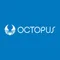 Octopus24