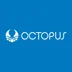 Octopus24
