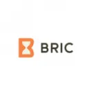 Bric Gestión de Proyectos